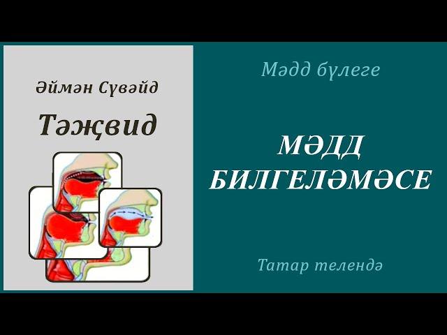 2. Мәдд бүлеге : МӘДД БИЛГЕЛӘМӘСЕ| Әймән Сүвәйд (татарча субтитрлар)