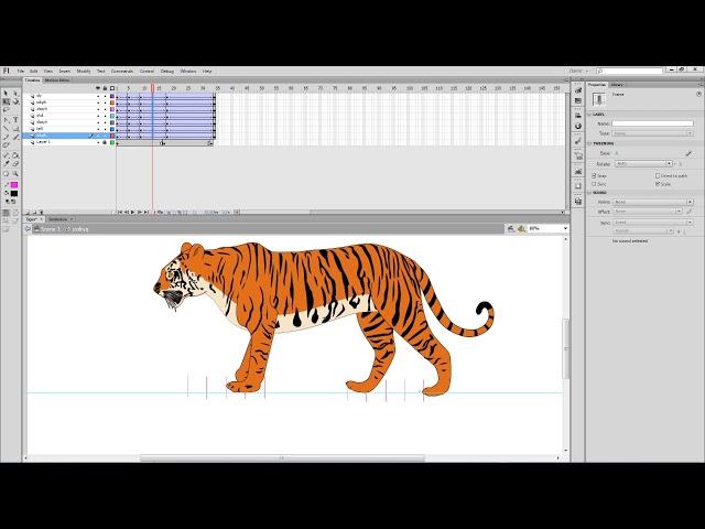 Royal Bengal tiger walk cycle animation tutorial in flash cs6