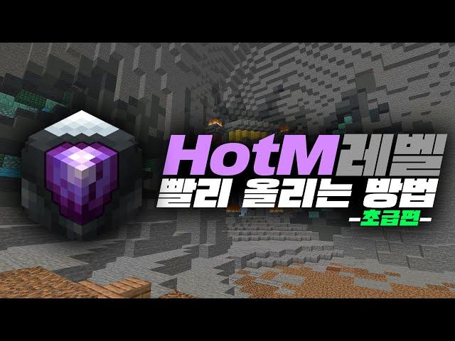 HotM레벨 빨리 올리는 방법 - 하이픽셀 스카이블럭
