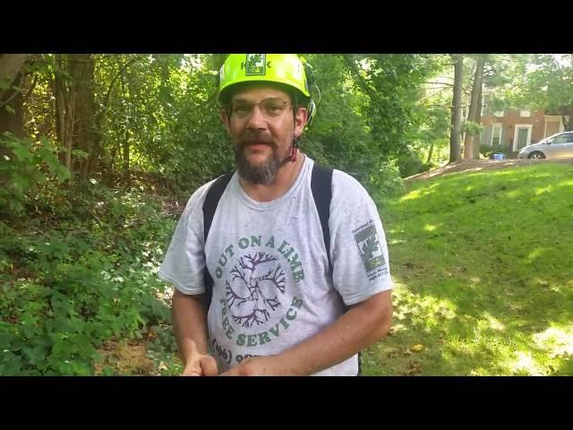 Poison Ivy Identification, Natural Antidote ,  Certified Arborist Adam Wingo demonstrates