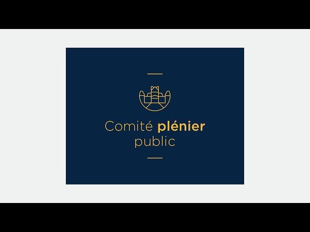 Comité plénier public du 19 novembre 2024