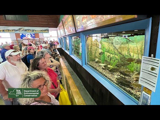 Where do they get the fish for the DEC Aquarium at the State Fair?