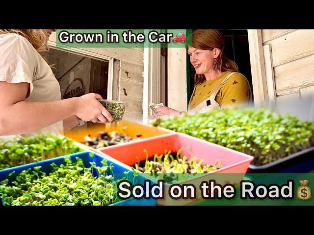 Mobile Farming: Growing Microgreens in Our Car Selling to Strangers on the Road