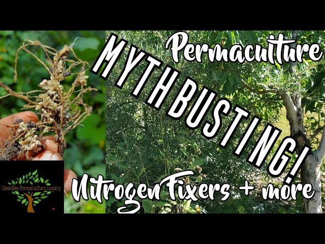 Expert section - MYTHBUSTING - Nitrogen fixers and Deep Tap Rooted Nutrient Accumulators