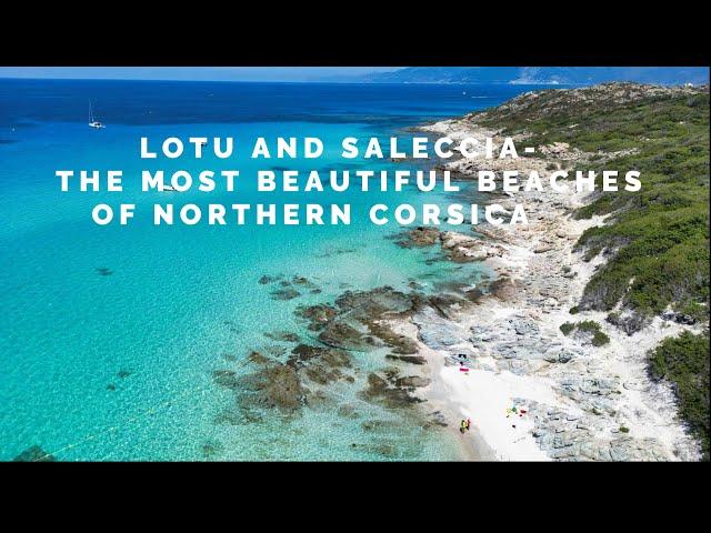 CORSICA. LOTU AND SALECCIA-THE MOST BEAUTIFUL BEACHES OF NORTHERN CORSICA