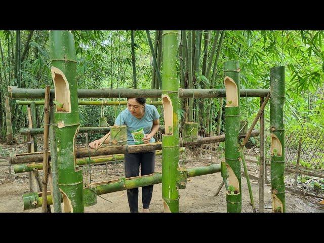 growing vegetables in bamboo tubes, gardening from bamboo stems. Catch crabs and snails in the field