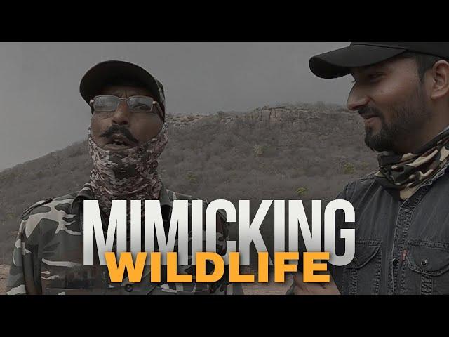 Mimicking Wildlife | गाइड लक्षमण रेवारी जानवरों की आवाज़ निकालते हुए | Big Cats Adventures