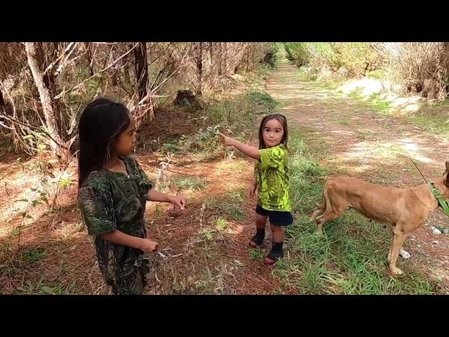 Kian the kiwi kid - Kaingaroa hunting