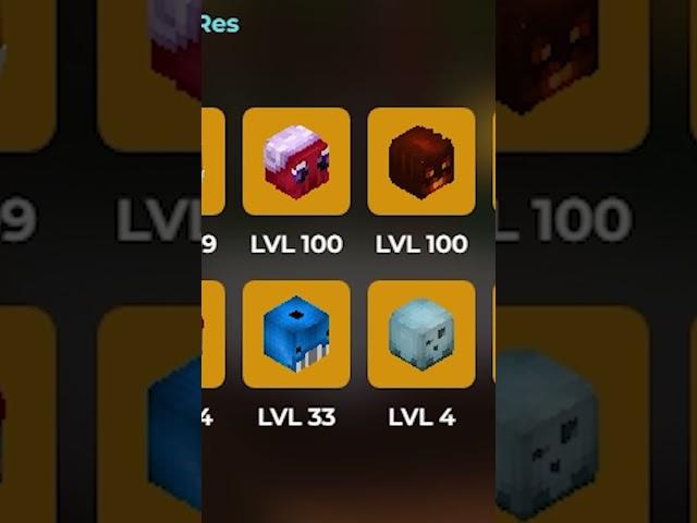 Reviewing My Channel Member's Profiles!  #minecraft #hypixelskyblock #hypixel | 8