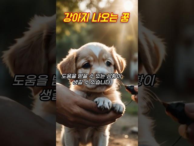 강아지꿈, 강아지 나오는 꿈 #꿈해몽 #예언 #예지몽 #강아지