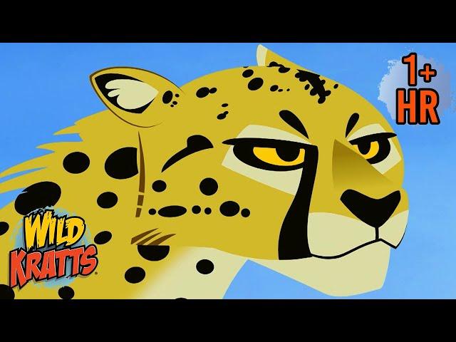 Big Cats | Lions, Cheetahs, Leopards with Wild Kratts | 9 Story Kids