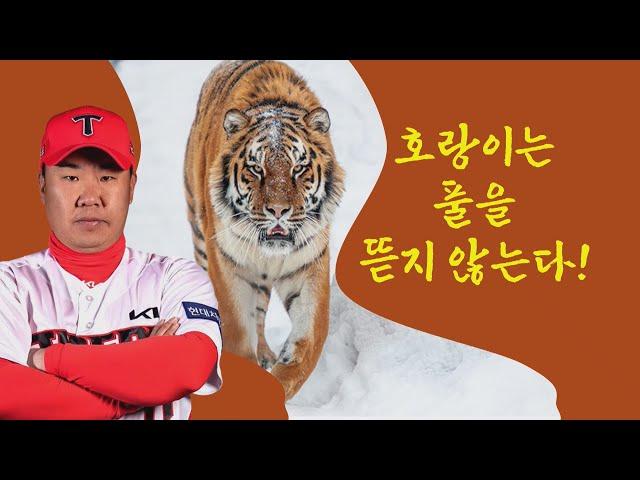 호랑이는 굶어죽을지언정 풀을 뜯지 않는다! 잇몸야구 KIA의 저력 살펴봤습니다 #베이스볼투나잇 2025.06.22