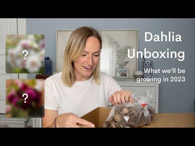 2023 DAHLIA ORDER | What dahlia tubers we'll growing this season, from Eden Brothers