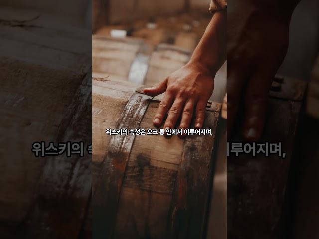 집에 있던 12년산 위스키, 10년 보관하면?  #건강 #건강정보 #생활정보 #위스키 #파파데일리