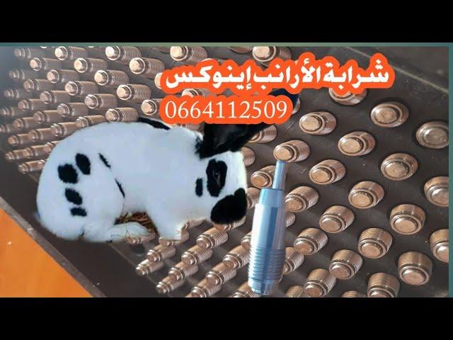 شرابة الأرانب إينوكس 0664112509