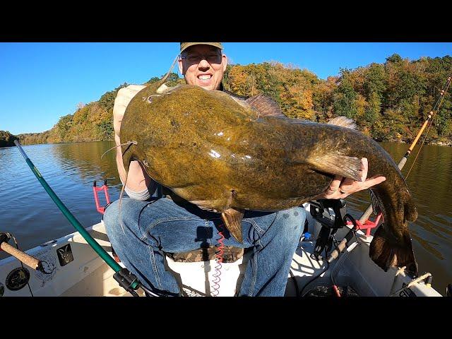 Catching BIG Catfish in TINY Boat - tips and tactics to catch more catfish