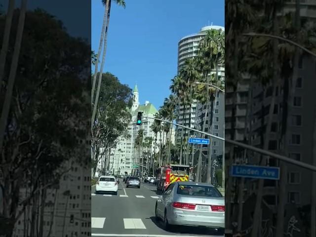 LA #California #long Beach#Linden Ave #Amazing Views #اكسبلور.