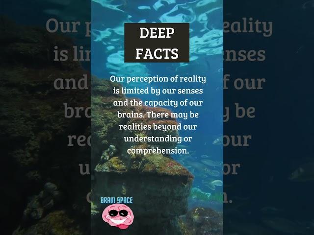 DEEP FACT TO MAKE YOU THINK #deepfact #deepthoughts #lifescope #ytshorts