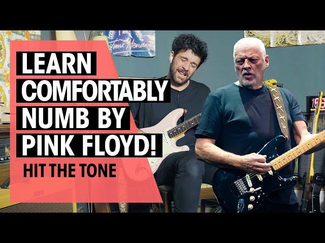 Hit the Tone  | Comfortably Numb by Pink Floyd (David Gilmour) | Ep. 60 | Thomann