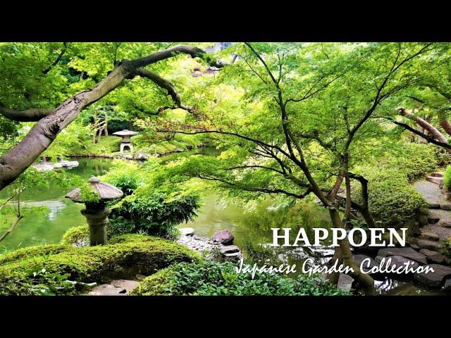 HAPPO-EN |#19 in Japanese Garden Ranking(2020) |Japanese Garden in Tokyo