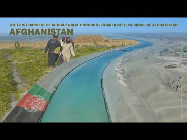 The first harvest of agricultural products from Qosh Tepa Canal of Afghanistan.