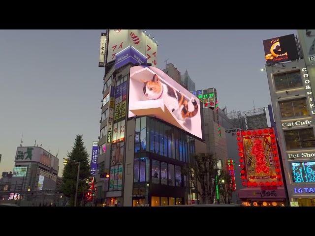 3D billboard in Shinjuku