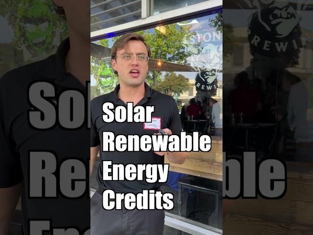 Optimize Solar Investment with SRECs, Compliments of Q Cells