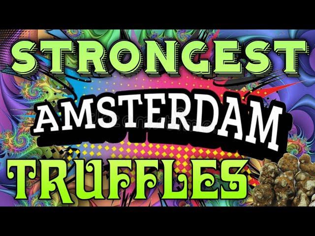 Taking The STRONGEST Magic Truffles in Amsterdam