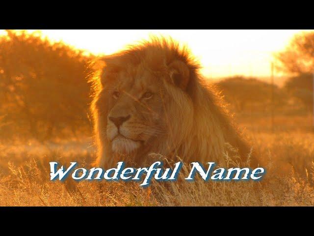Wonderful Name