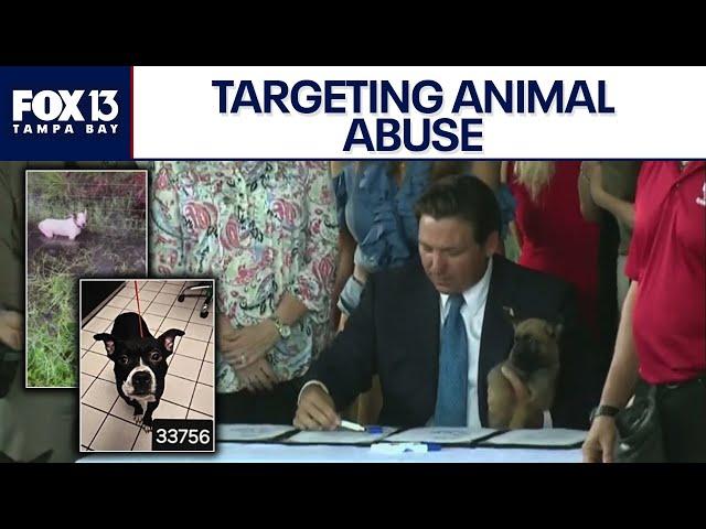 DeSantis signs Florida animal abuse bills into law