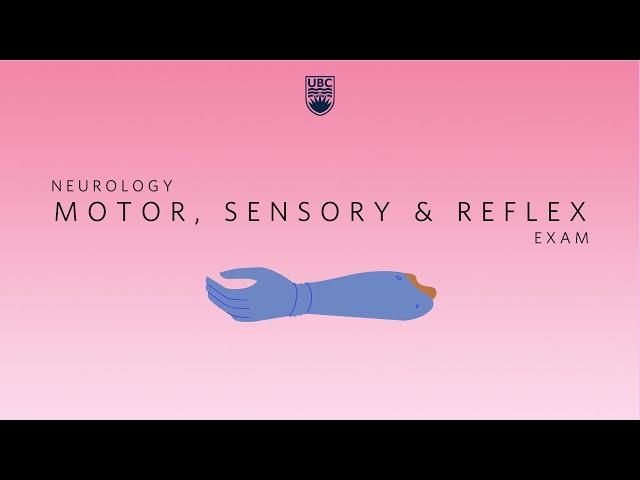 Neurology: Clinical Skills - Motor, Sensory, & Reflex Neurological Exam #neurology #ubcmedicine