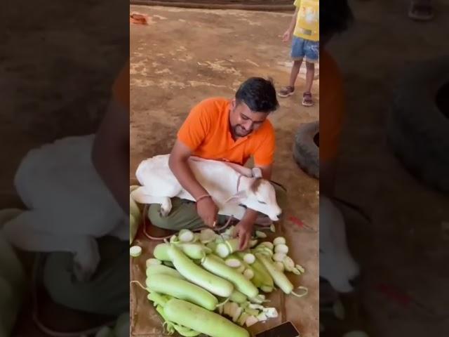 Tum he aana