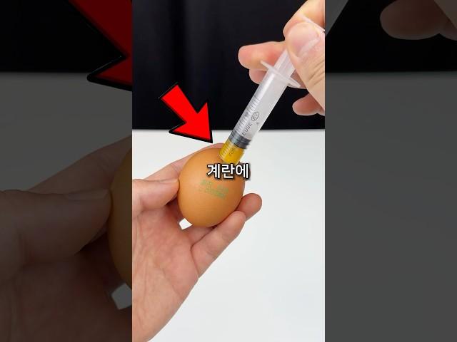 2번이나 사기 당한 역대급 계란 요리
