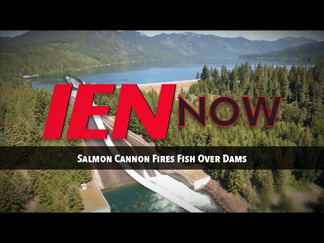 IEN NOW: Salmon Cannon Fires Fish Over Dams