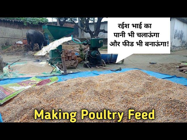 Poultry Feed | Rais Poultry Farming Feed Machine Set-up