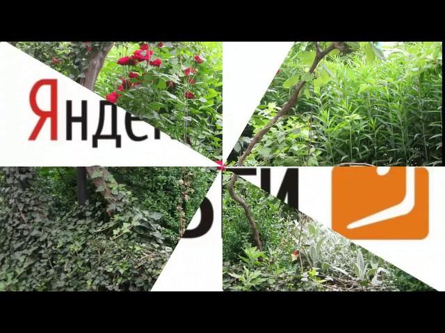 Бронирование. Отдых в Крыму Николаевка частный сектор 2018