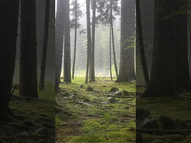 Альтернативная Энергетика нужна в удалённых местах