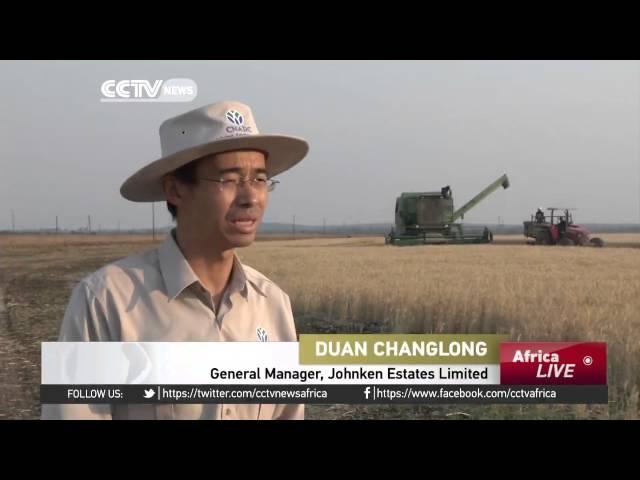 Chinese technology, investments boost African farms