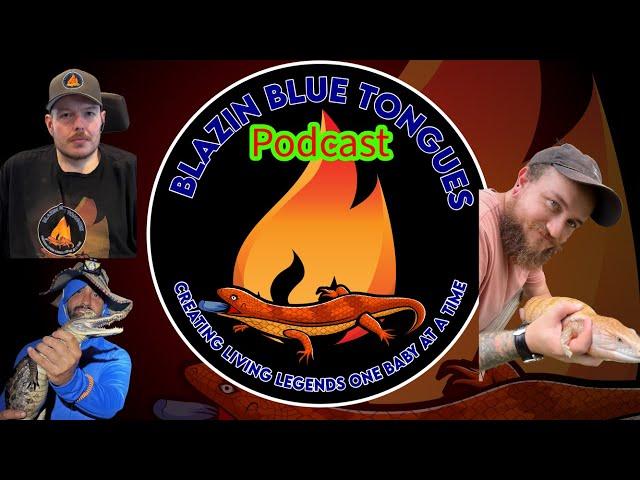 S2E4 Yoshi of Modern Reptile on Blue Tongues, Florida Keeping & Community — With Co-Host Manny