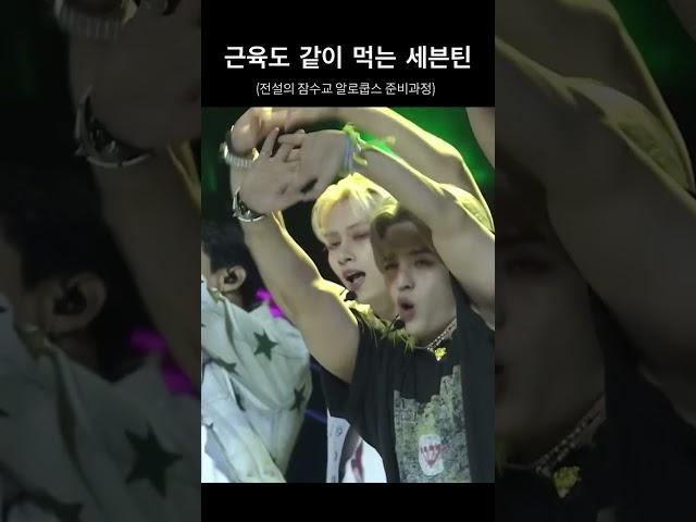 [세븐틴/에스쿱스.준] 같이먹자 근육