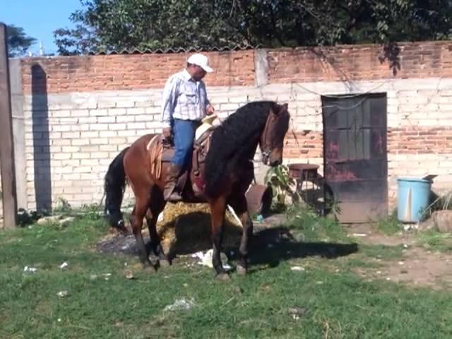 CUADRA DEL RIO COMPOSTELA 2013