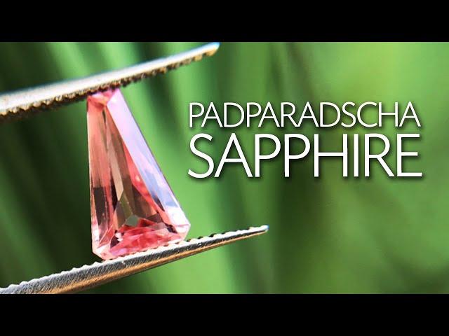 RARE 1,06ct Unheated Padparadscha Sapphire - Paul Reinhard