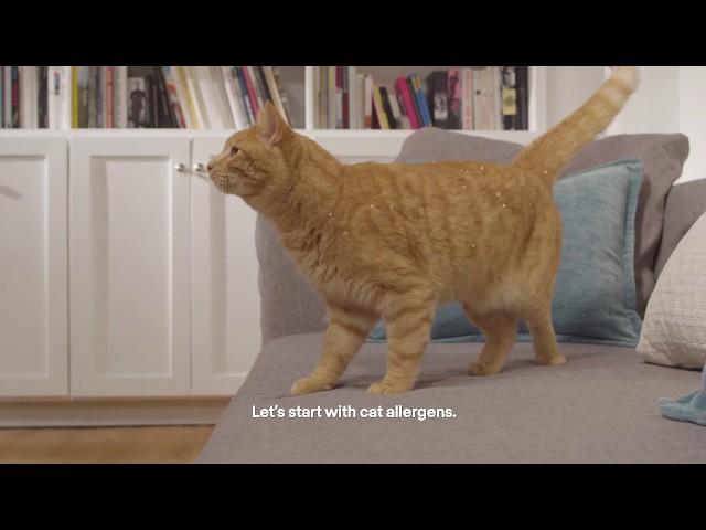 Purina Pro Plan LiveClear - How Our Cat Food Reduces Allergens