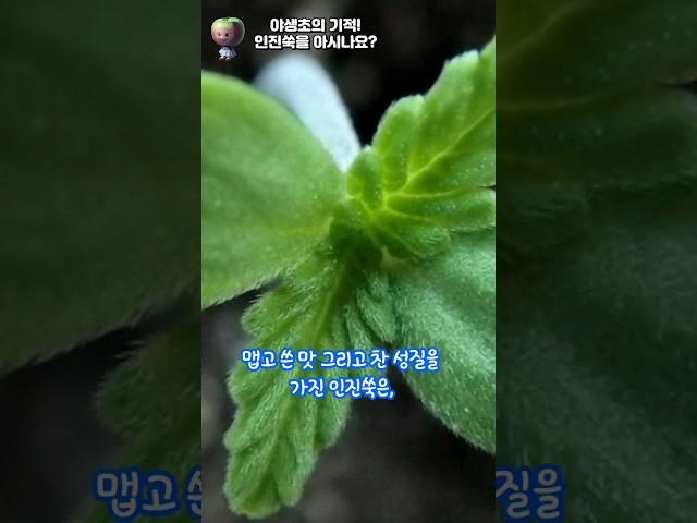 왜 이걸 몰랐지? 우리가 잘못 알고 있는 잡초의 진실