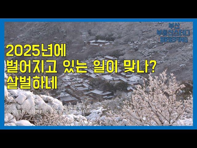 부산부동산 부산아파트 2025년에 벌어지고 있는 일이 맞나? 살벌하네