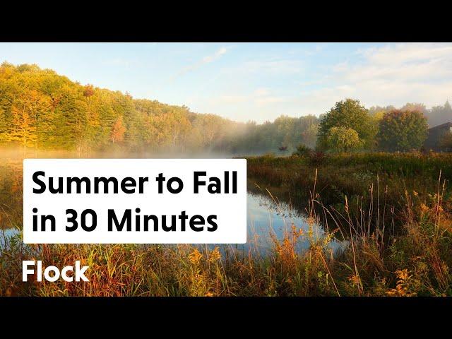 SUMMER TO FALL Landscape Transformation in 30 MINS — Ep. 212