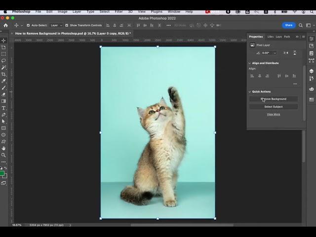 How to Remove Background with Adobe Photoshop Remove Background Tool