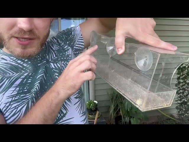 Fenster Vogelfutterstation, Vogelhaus mit extra starken Saugnäpfen, abnehmbare Samenschale mit Drain