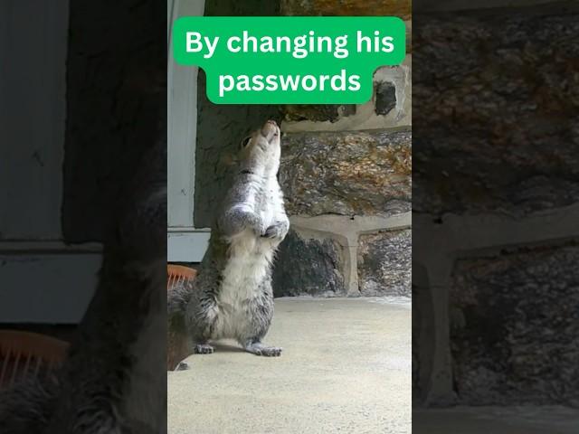 Omar's taking online security seriously #animalshorts #squirrel #password #onlinesecurity #wildlife