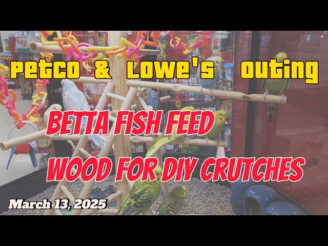 Petco and Lowe's | Betta Fish Bloodworms & DIY Back Spine support project